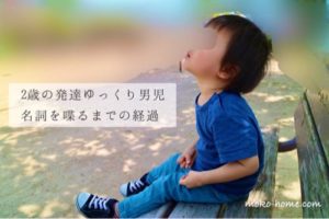 2歳児言葉の爆発期の前兆5つ!言葉が遅い子どもが突然話し出す経験談