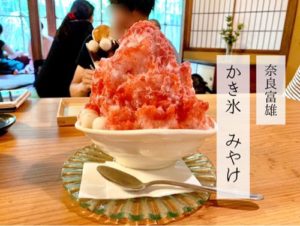 奈良県富雄かき氷「みやけ」