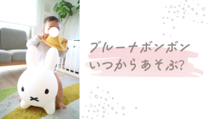 ブルーナボンボンはいつから遊べる?対象年齢や何歳まで遊ぶのか調査