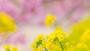 亡くなった人があなたのそばにいるサイン20個︱気配やメッセージとは