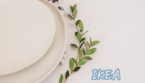 IKEAの皿がレンジで割れた体験談。耐熱ガラスが割れる原因や対処法を調査